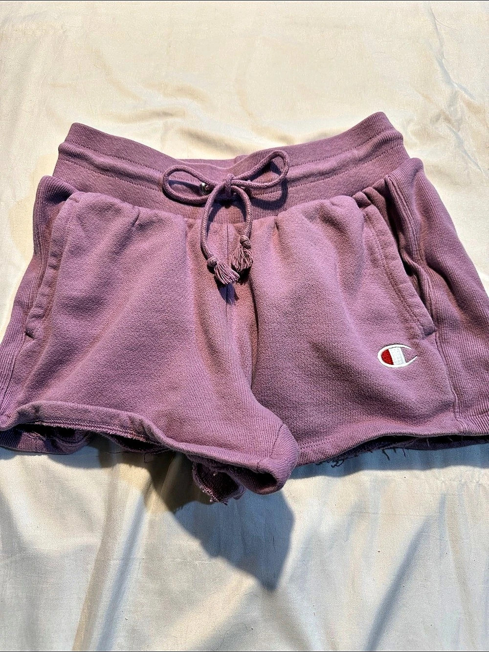 Champion Reverse Weave 3" Fleece Shorts 3" Fleece Athletic Shorts Purple Small